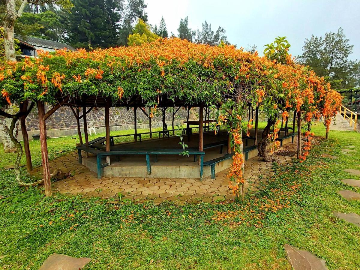 Vila Kolmas 59 Villa Bongkor 1 Esterno foto