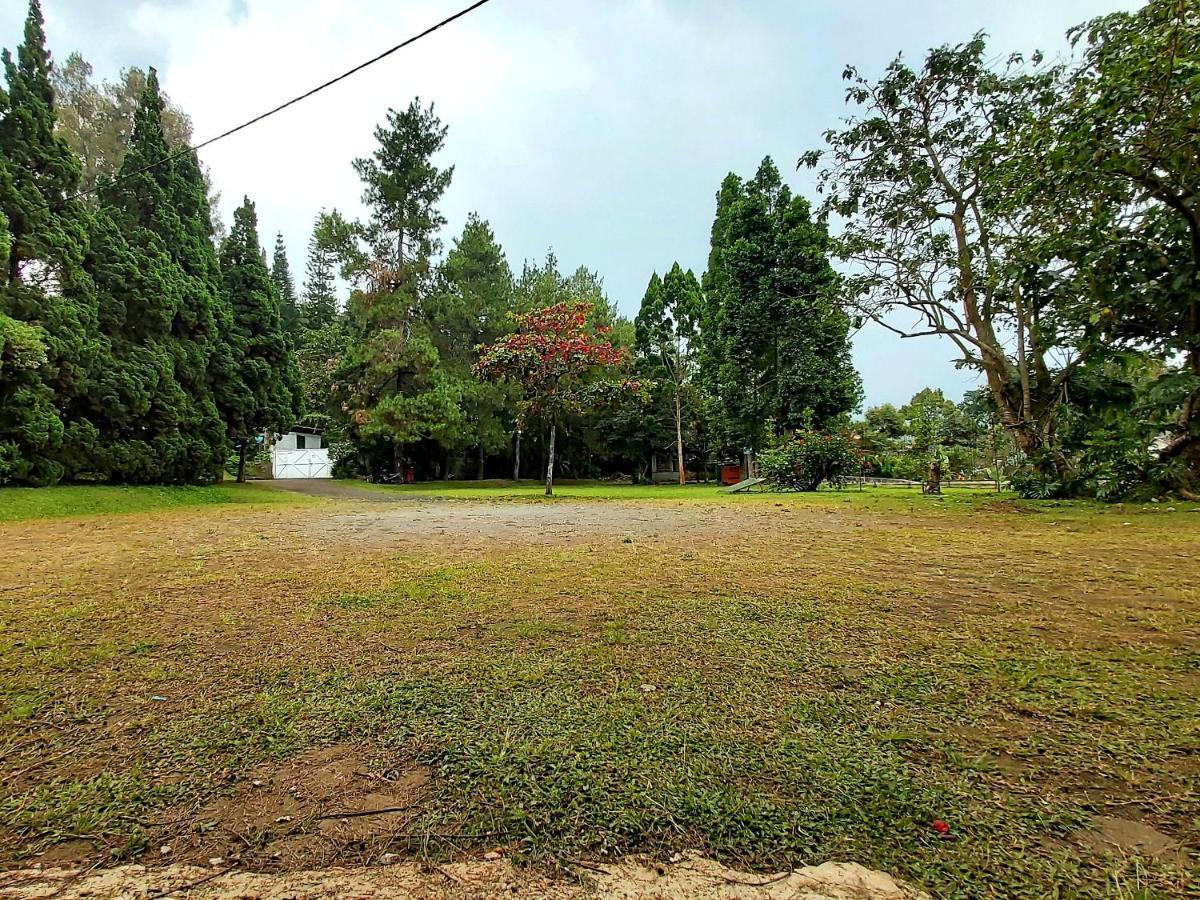 Vila Kolmas 59 Villa Bongkor 1 Esterno foto